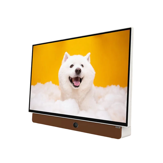 SKYWORTH 24LP80