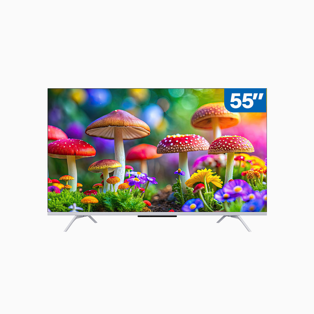 SKYWORTH QE66G