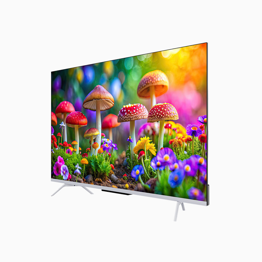SKYWORTH QE66G