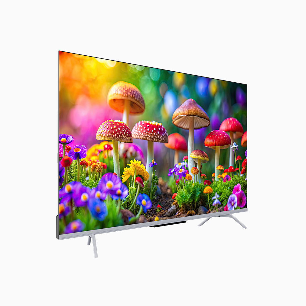 SKYWORTH QE66G
