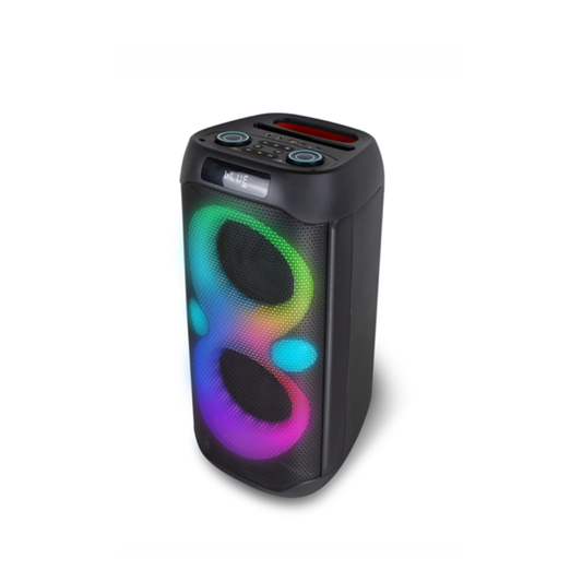 Party Speaker