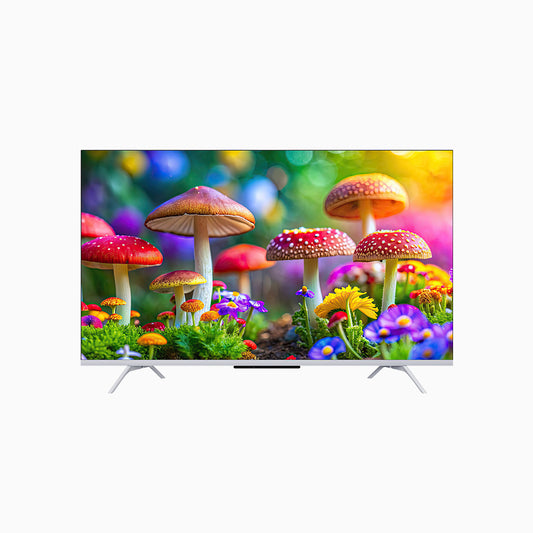 SKYWORTH QE66G