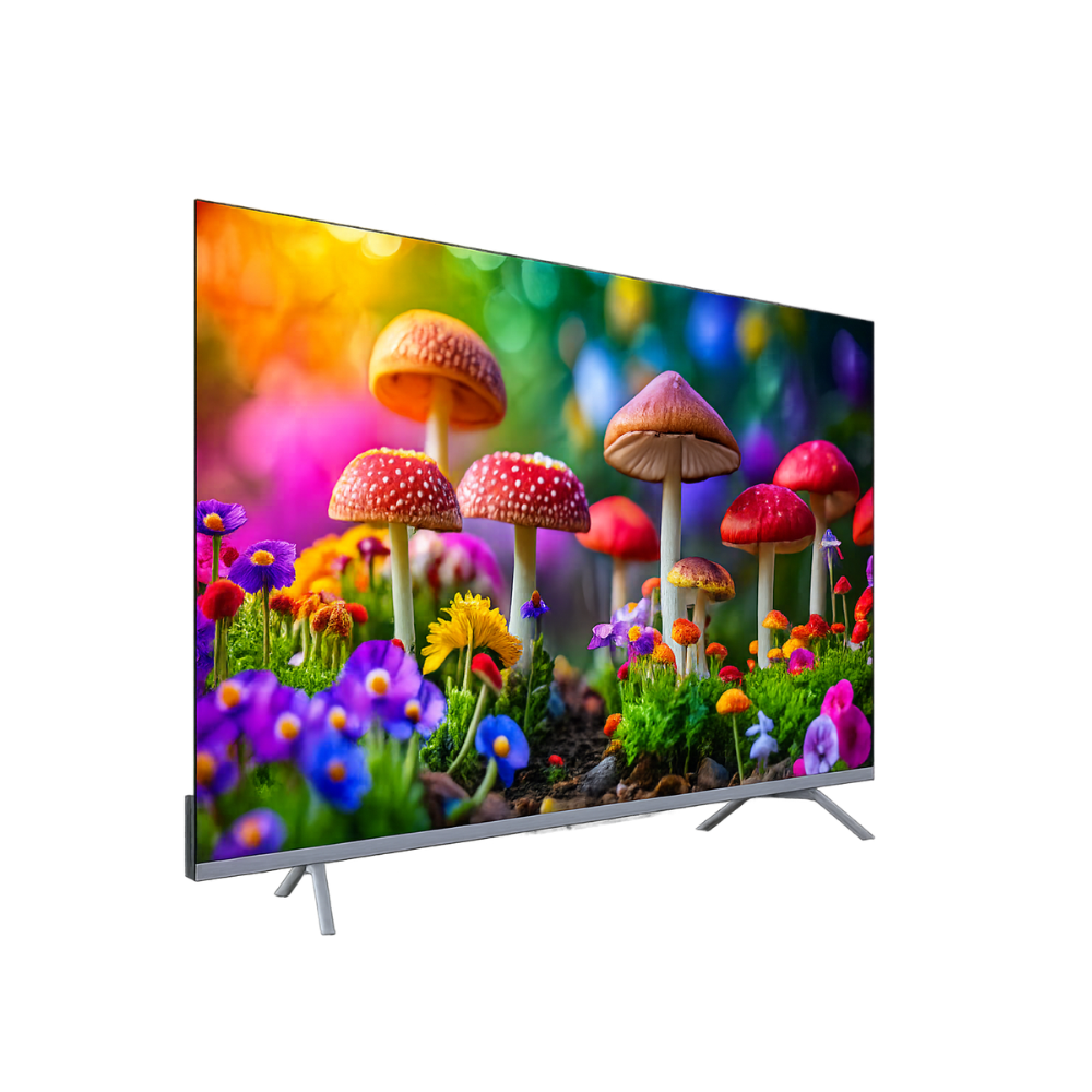 SKYWORTH QE66G