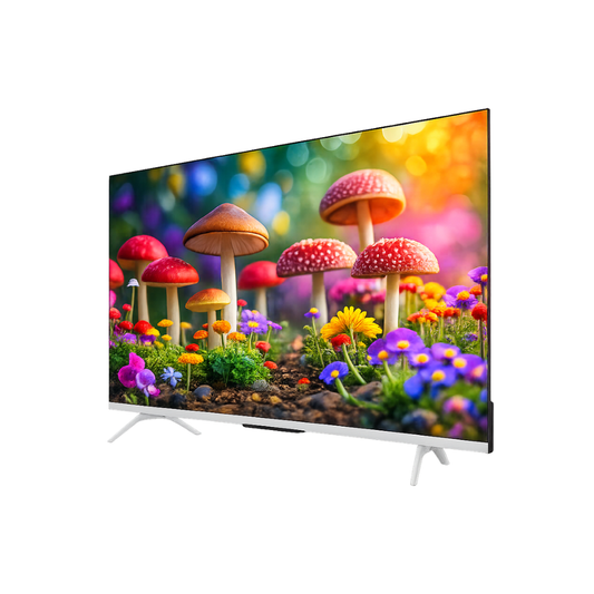 SKYWORTH QE66G