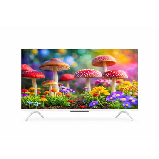 SKYWORTH QE66G